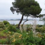 Collection nationale de sauges