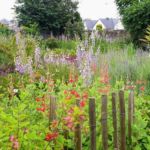 Collection nationale de sauges